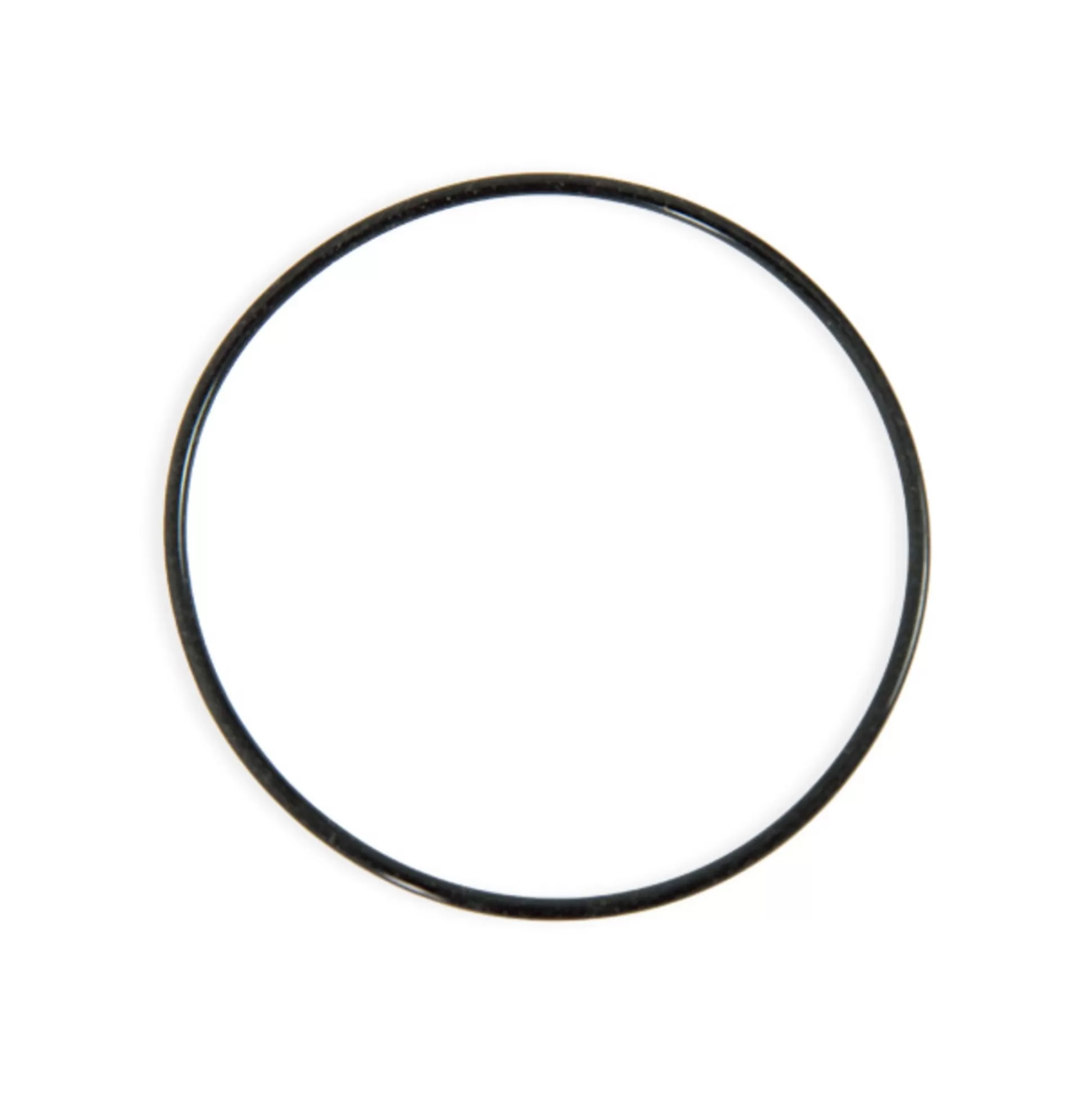 Bestway O-Ring For 1000 Gal Flowclear Sand Filter Cheap